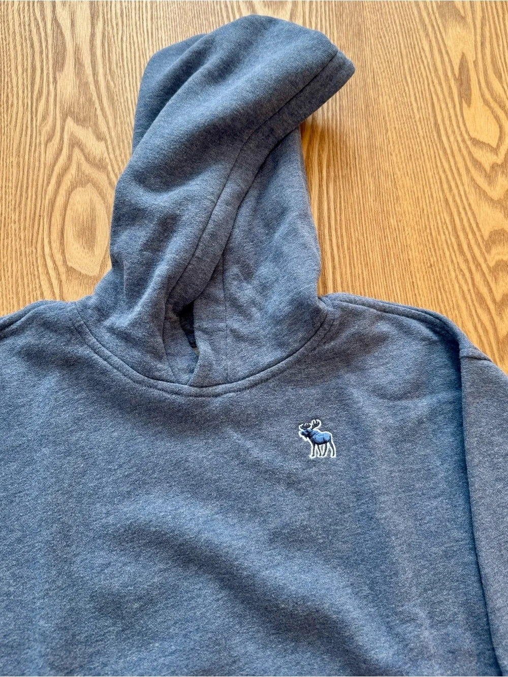 Abercrombie & Fitch Boys Blue Hooded Sweatshirt - Cozy Pullover